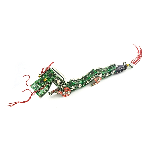 http://www.sparkfun.com/images/newsimages/Dragon-01-L.JPG