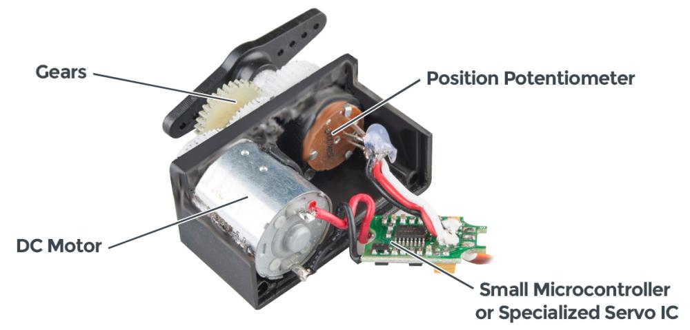 Inside a standard hobby servo