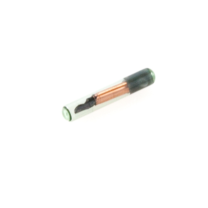 RFID Glass Capsule (125kHz)